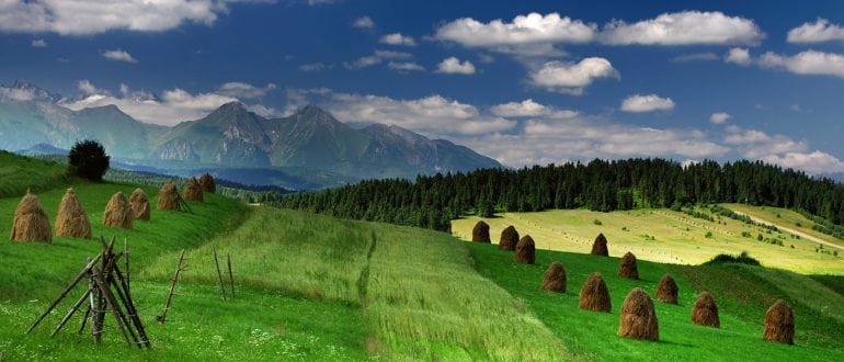 Польши Природа