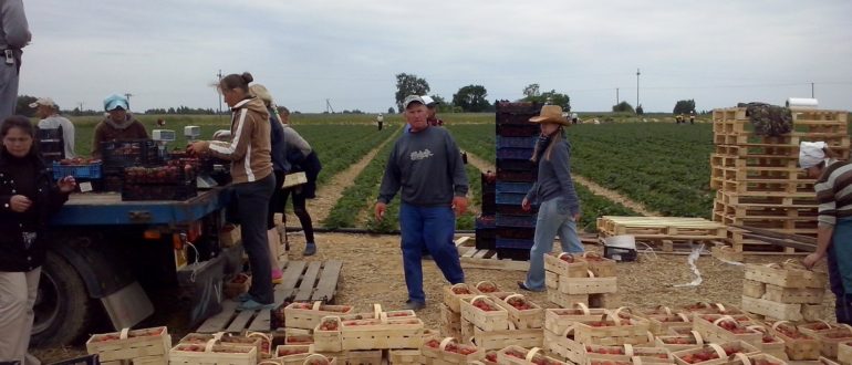 Сезонные работы в Польше